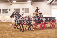 Pete's Equine Photography from the Ancaster Fair - Driving Draft Horses and Hitches in action.