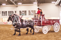 Pete's Equine Photography from the Ancaster Fair - Driving Draft Horses and Hitches in action.