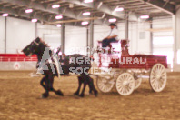 Pete's Equine Photography from the Ancaster Fair - Driving Draft Horses and Hitches in action.