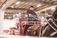 Pete's Equine Photography from the Ancaster Fair - Driving Draft Horses and Hitches in action.