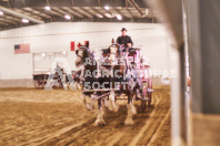 Pete's Equine Photography from the Ancaster Fair - Driving Draft Horses and Hitches in action.