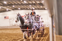 Pete's Equine Photography from the Ancaster Fair - Driving Draft Horses and Hitches in action.