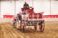 Pete's Equine Photography from the Ancaster Fair - Driving Draft Horses and Hitches in action.