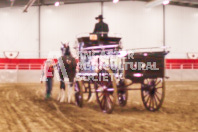 Pete's Equine Photography from the Ancaster Fair - Driving Draft Horses and Hitches in action.