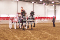 Pete's Equine Photography from the Ancaster Fair - Driving Draft Horses and Hitches in action.