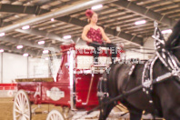 Pete's Equine Photography from the Ancaster Fair - Driving Draft Horses and Hitches in action.