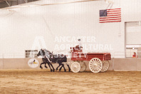 Pete's Equine Photography from the Ancaster Fair - Driving Draft Horses and Hitches in action.