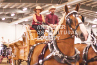 Pete's Equine Photography from the Ancaster Fair - Driving Draft Horses and Hitches in action.