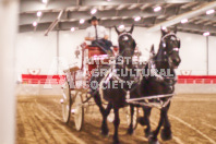 Pete's Equine Photography from the Ancaster Fair - Driving Draft Horses and Hitches in action.