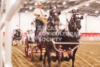 Pete's Equine Photography from the Ancaster Fair - Driving Draft Horses and Hitches in action.