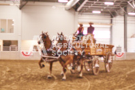 Pete's Equine Photography from the Ancaster Fair - Driving Draft Horses and Hitches in action.