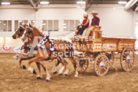 Pete's Equine Photography from the Ancaster Fair - Driving Draft Horses and Hitches in action.