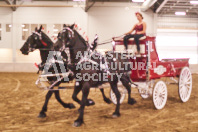 Pete's Equine Photography from the Ancaster Fair - Driving Draft Horses and Hitches in action.