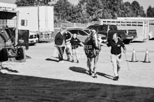 Equine Photography from horse events at the 174th Ancaster fair on September 20th of 2024.