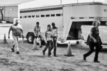 Equine Photography from horse events at the 174th Ancaster fair on September 20th of 2024.