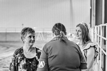 Equine Photography from horse events at the 174th Ancaster fair on September 20th of 2024.