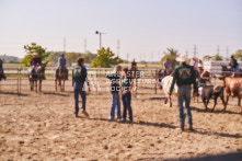 Equine Photography from horse events at the 174th Ancaster fair on September 20th of 2024.