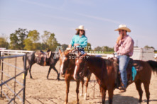 Equine Photography from horse events at the 174th Ancaster fair on September 20th of 2024.