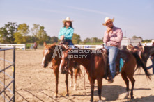 Equine Photography from horse events at the 174th Ancaster fair on September 20th of 2024.