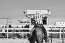 Equine Photography from horse events at the 174th Ancaster fair on September 20th of 2024.