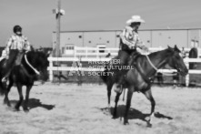 Equine Photography from horse events at the 174th Ancaster fair on September 20th of 2024.