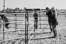 Equine Photography from horse events at the 174th Ancaster fair on September 20th of 2024.