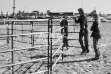 Equine Photography from horse events at the 174th Ancaster fair on September 20th of 2024.