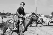 Equine Photography from horse events at the 174th Ancaster fair on September 20th of 2024.