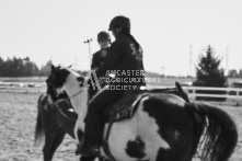 Equine Photography from horse events at the 174th Ancaster fair on September 20th of 2024.