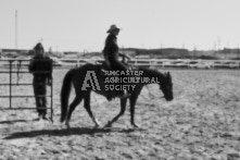 Equine Photography from horse events at the 174th Ancaster fair on September 20th of 2024.