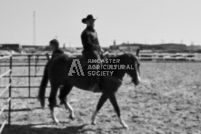 Equine Photography from horse events at the 174th Ancaster fair on September 20th of 2024.