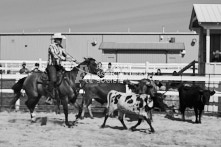 Equine Photography from horse events at the 174th Ancaster fair on September 20th of 2024.