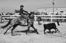 Equine Photography from horse events at the 174th Ancaster fair on September 20th of 2024.