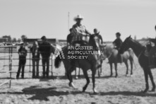 Equine Photography from horse events at the 174th Ancaster fair on September 20th of 2024.