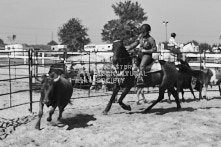 Equine Photography from horse events at the 174th Ancaster fair on September 20th of 2024.