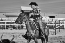 Equine Photography from horse events at the 174th Ancaster fair on September 20th of 2024.