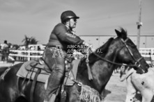 Equine Photography from horse events at the 174th Ancaster fair on September 20th of 2024.