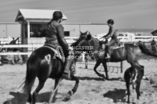 Equine Photography from horse events at the 174th Ancaster fair on September 20th of 2024.