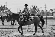 Equine Photography from horse events at the 174th Ancaster fair on September 20th of 2024.