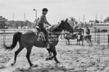 Equine Photography from horse events at the 174th Ancaster fair on September 20th of 2024.