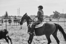 Equine Photography from horse events at the 174th Ancaster fair on September 20th of 2024.