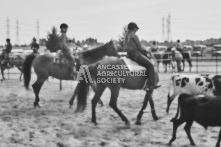 Equine Photography from horse events at the 174th Ancaster fair on September 20th of 2024.