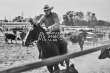 Equine Photography from horse events at the 174th Ancaster fair on September 20th of 2024.