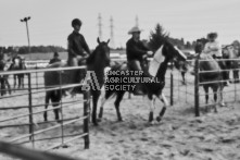 Equine Photography from horse events at the 174th Ancaster fair on September 20th of 2024.