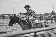 Equine Photography from horse events at the 174th Ancaster fair on September 20th of 2024.