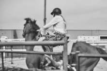 Equine Photography from horse events at the 174th Ancaster fair on September 20th of 2024.