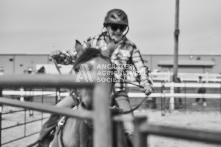 Equine Photography from horse events at the 174th Ancaster fair on September 20th of 2024.