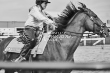 Equine Photography from horse events at the 174th Ancaster fair on September 20th of 2024.