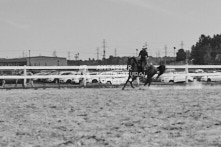 Equine Photography from horse events at the 174th Ancaster fair on September 20th of 2024.