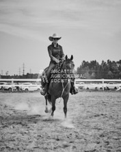 Equine Photography from horse events at the 174th Ancaster fair on September 20th of 2024.